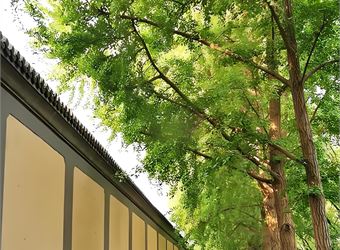 总部选址优选京鹤大厦，三里河路京鹤大厦集聚行业优质企业，共建纯粹住建商务生态圈